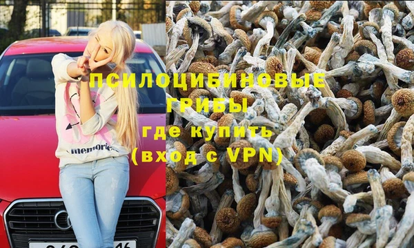 герыч Алексин