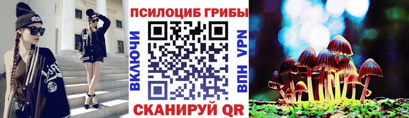 Псилоцибиновые грибы MAGIC MUSHROOMS  hydra зеркало  Ставрополь 
