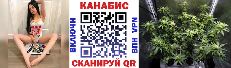Конопля гибрид Ставрополь
